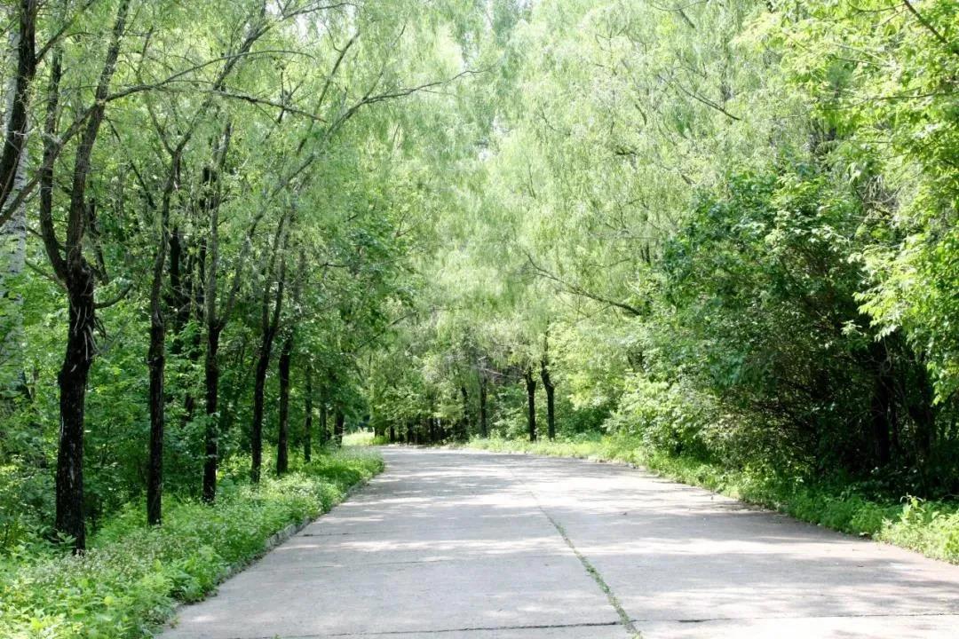 4F54D49429D61710B2800DC6CBD_4702C346_319FF.jpg?e= PP电子·仿照器(试玩游戏)官方网站
