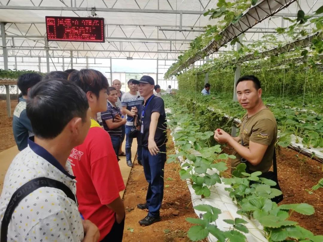 PP电子·仿照器(试玩游戏)官方网站