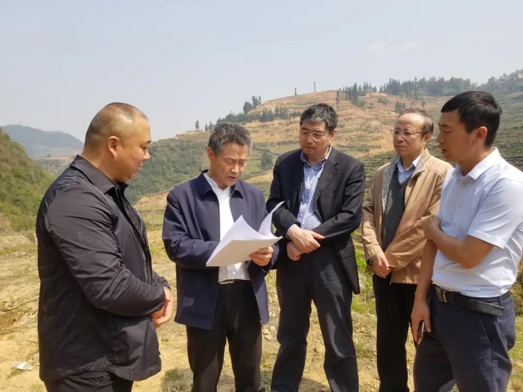 PP电子·仿照器(试玩游戏)官方网站